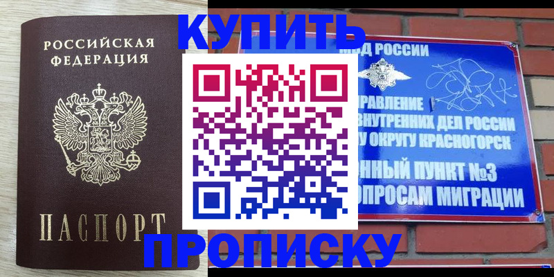 прописка гарантия в Михайловке